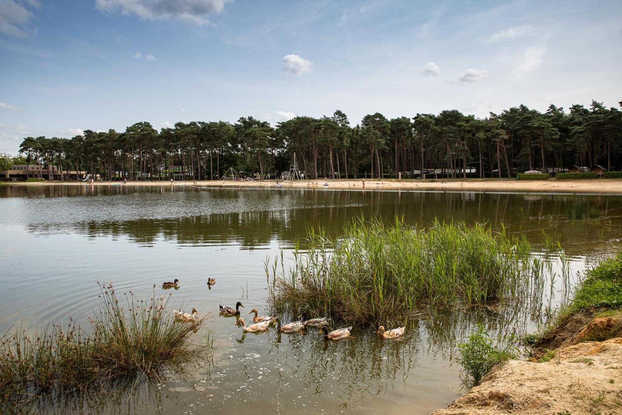 Familiepark Goolderheide Ξενοδοχείο Μπόχολτ Δωμάτιο φωτογραφία